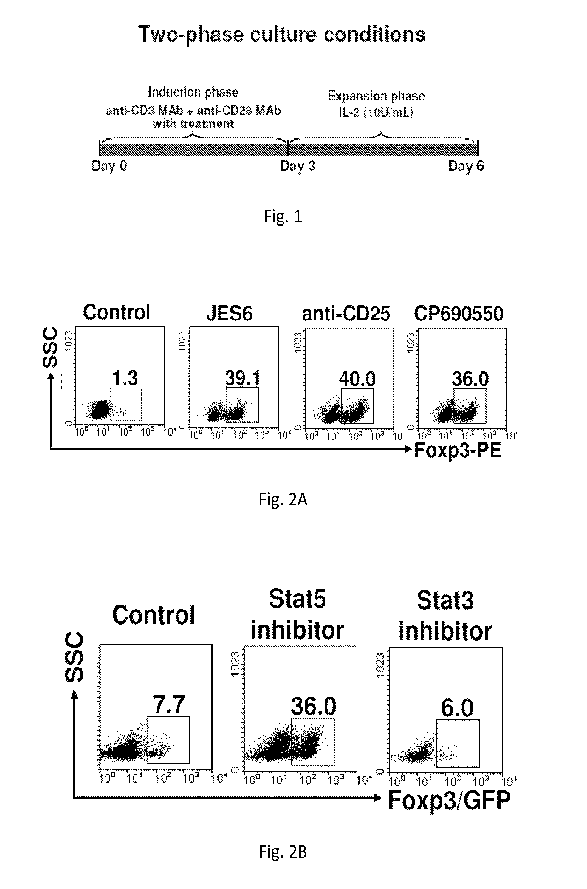 Stable Tregs and related materials and methods