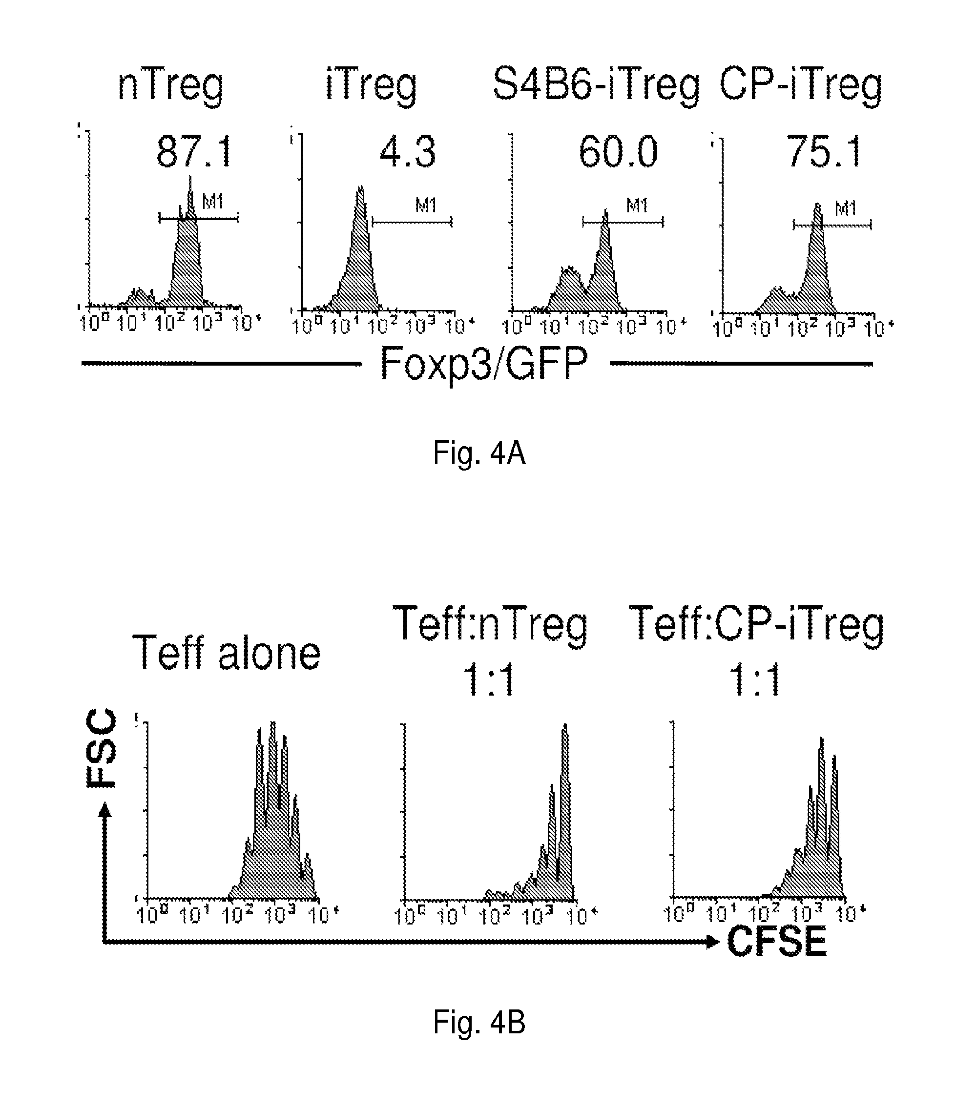 Stable Tregs and related materials and methods