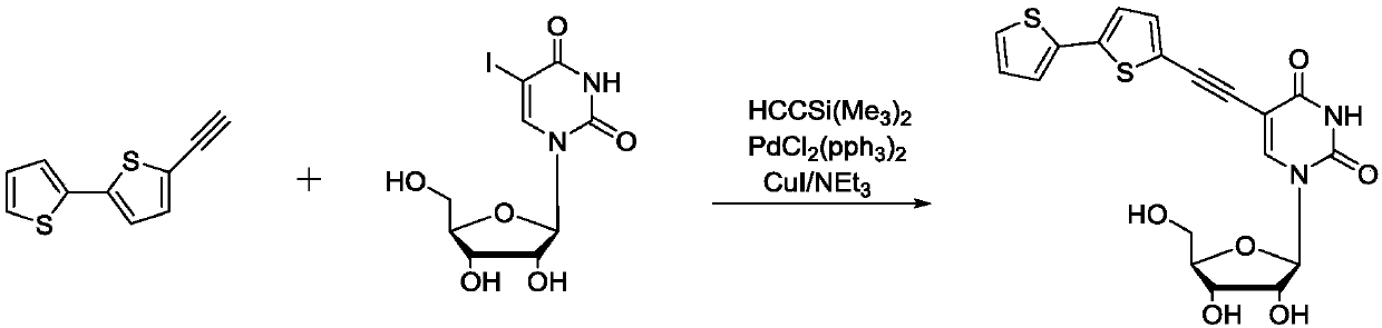 Extended type fluorescent nucleoside analog and preparing method thereof