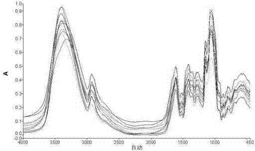 Method for establishing quantitative model of auxiliary materials of Chinese medicinal granules