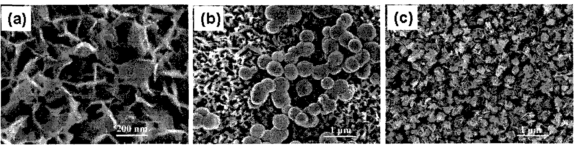 Implant surface biomimetic coating material for promoting sacralization and preparation method thereof