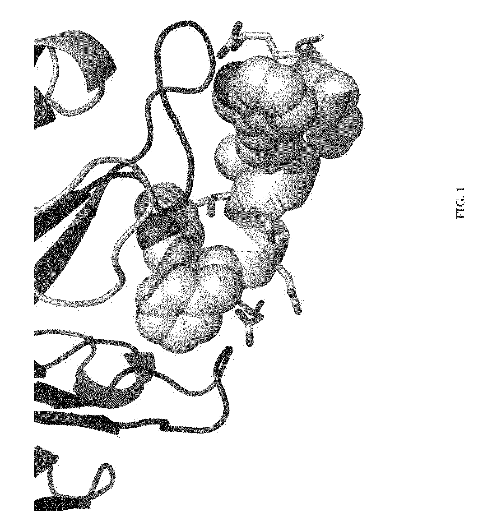 Immunogens of hiv-1 broadly neutralizing antibodies, methods of generation and uses thereof