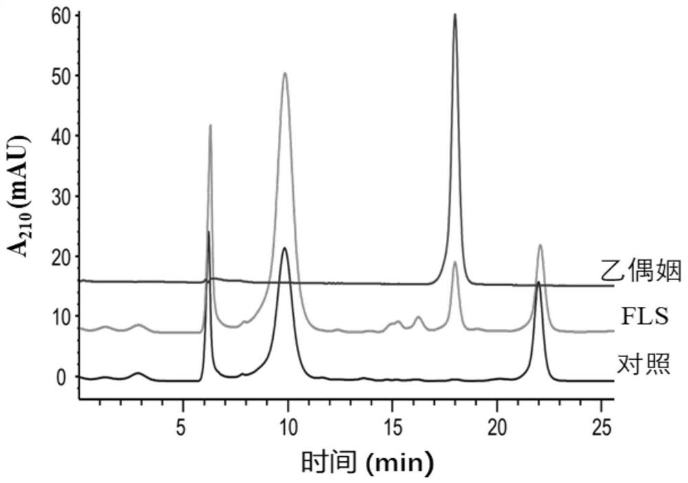 Glycanase and application thereof in biosynthesis of ligustrazine