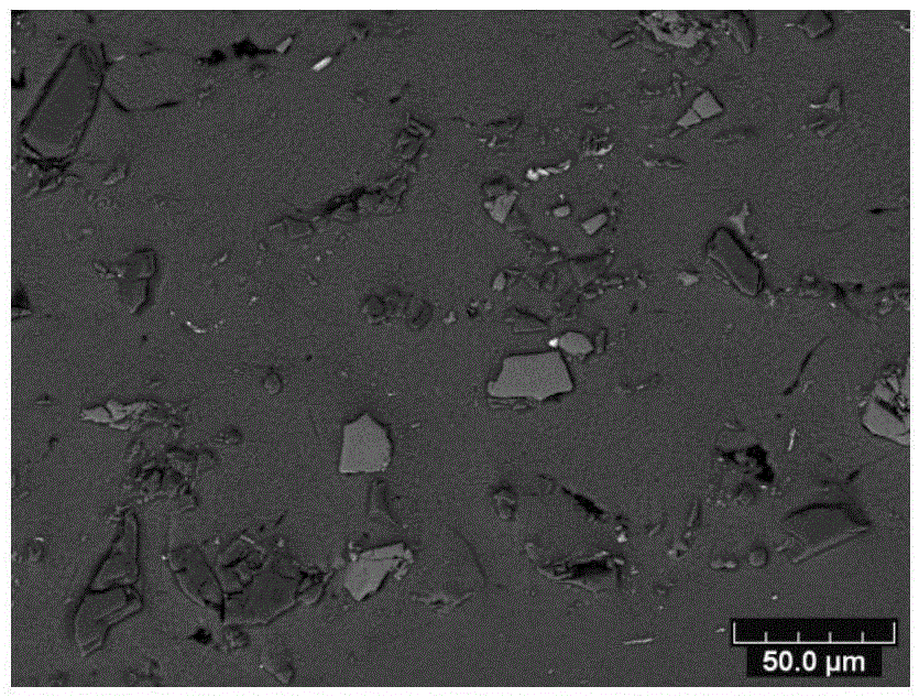 Image based adaptive finite element mesh division method