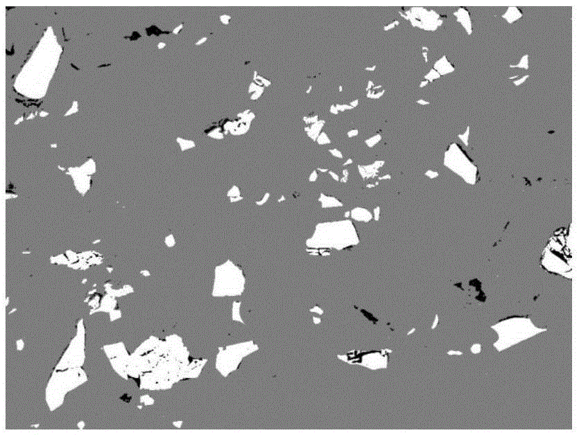 Image based adaptive finite element mesh division method