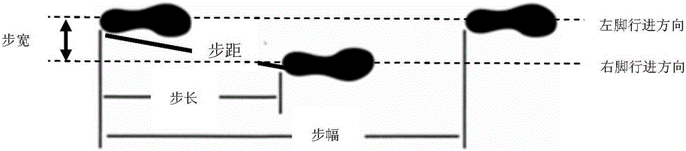 Method for establishing gait data set and gait analysis method