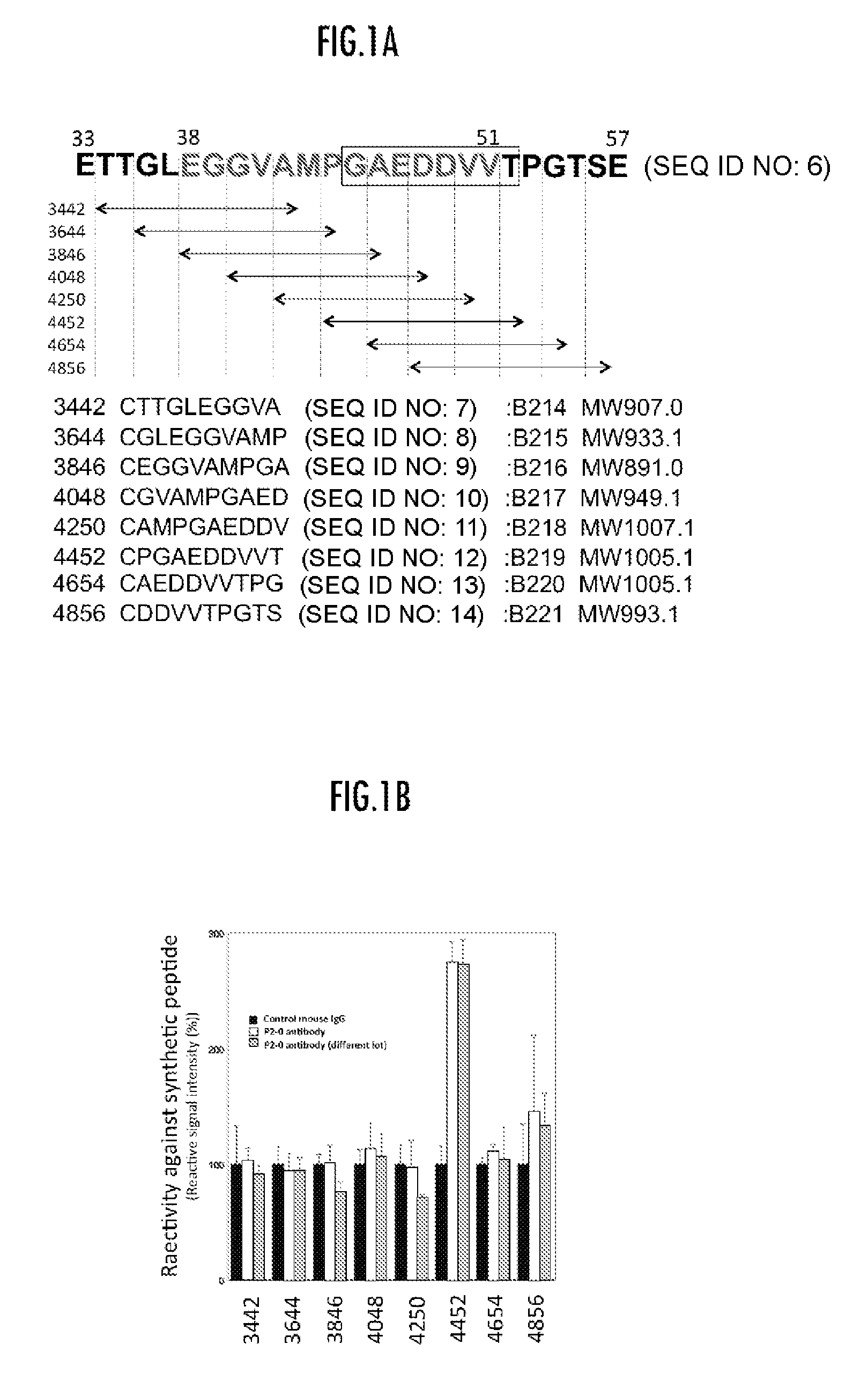 Mouse anti-Aggrus monoclonal antibodies