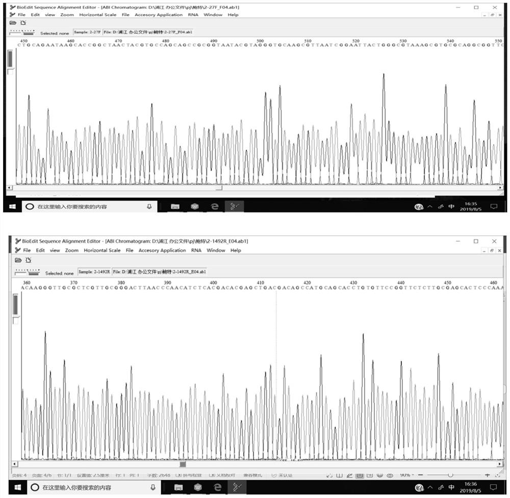 Method for analyzing and identifying clinical difficult strains by 16S rRNA gene sequence