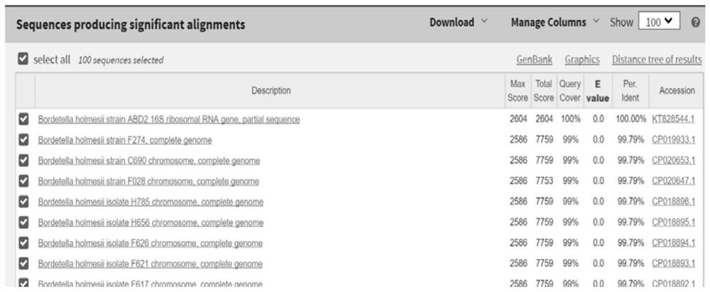 Method for analyzing and identifying clinical difficult strains by 16S rRNA gene sequence