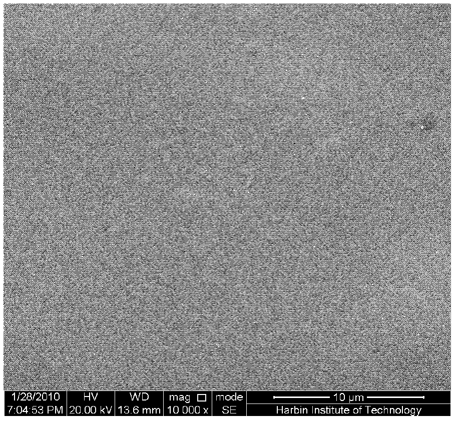 Method for coating micro-arc oxidation titanium implant with cefazolin sodium and chitosan composite drug membrane