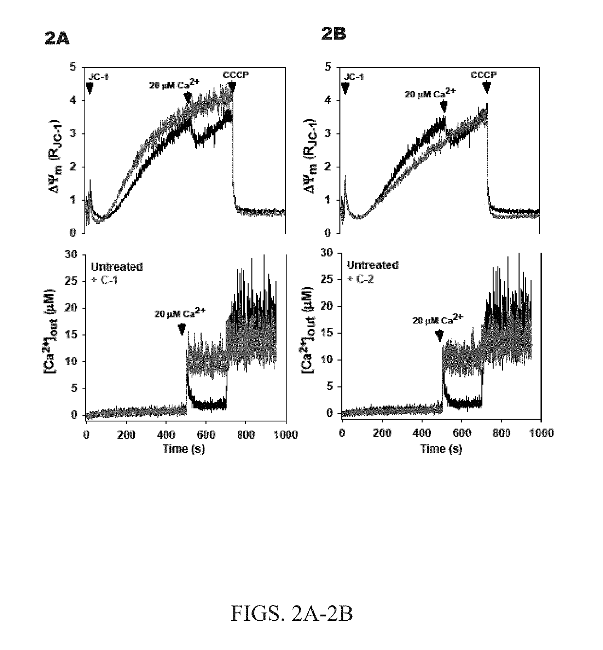 RUTHENIUM u-NITRIDO COMPLEXES AND THEIR USE AS CALCIUM UPTAKE INHIBITORS