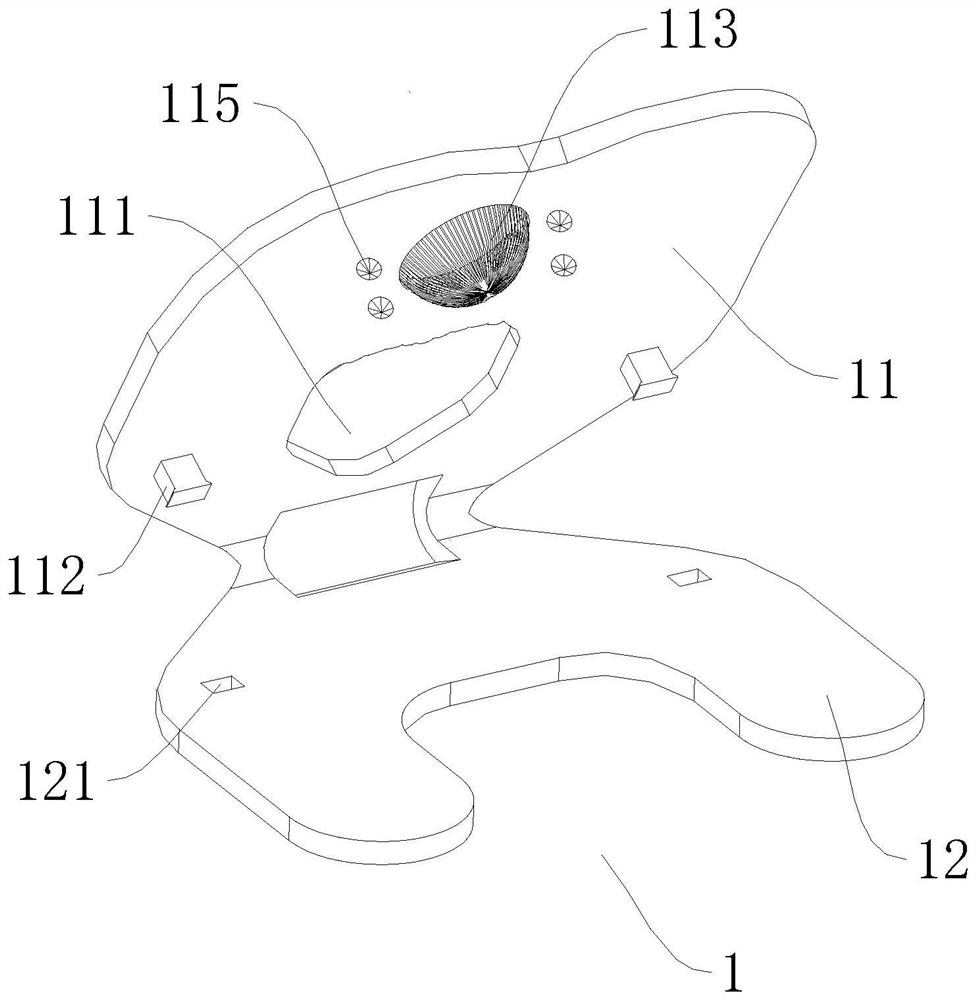 Dosing device suitable for cloaca of female Chinese softshell turtle