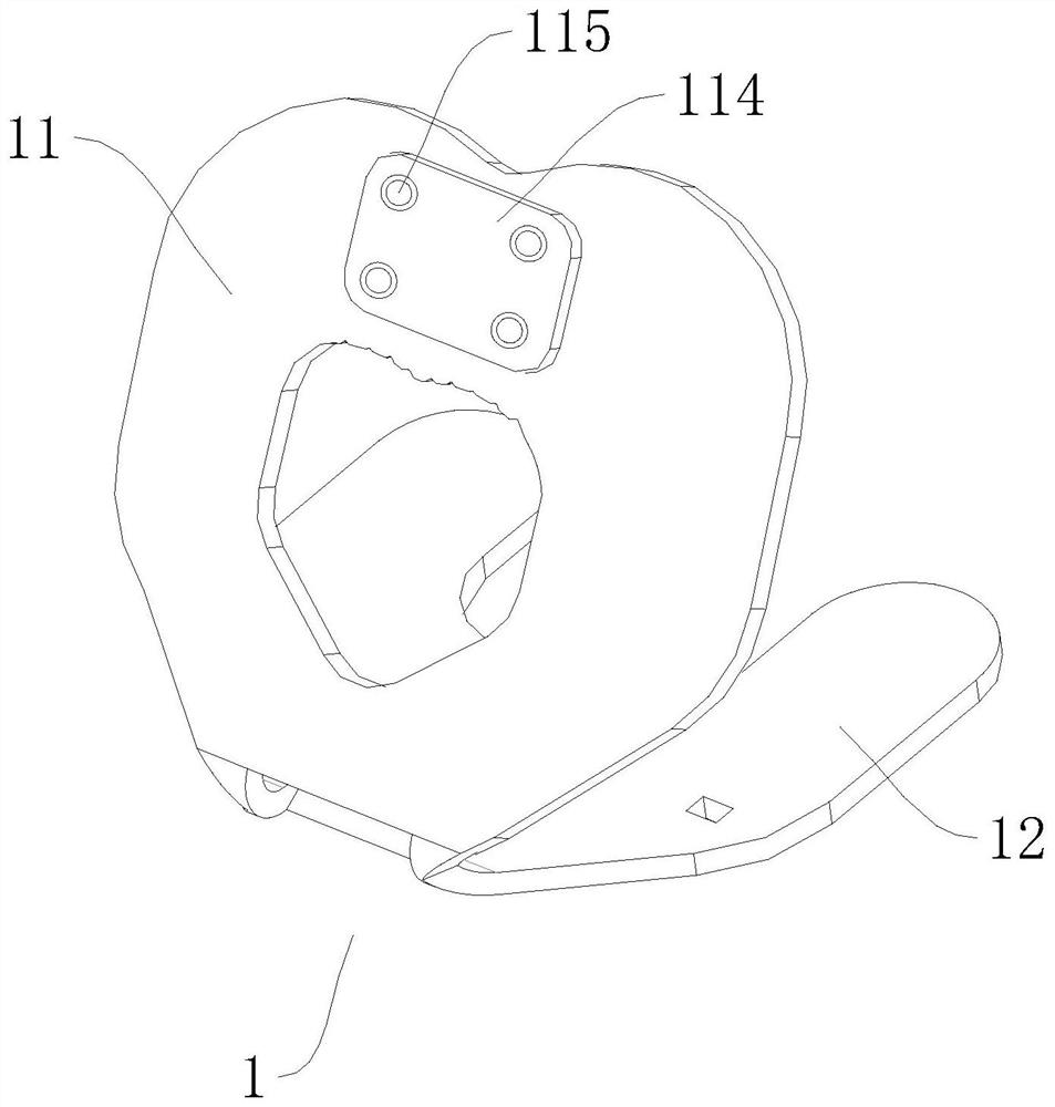 Dosing device suitable for cloaca of female Chinese softshell turtle