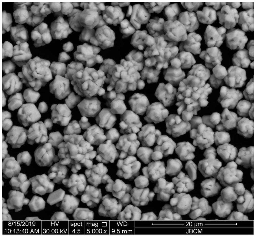 Large-particle silver powder with supporting ridge structure as well as preparation method and application thereof