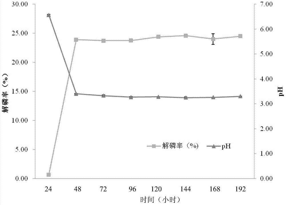 A kind of pantoea degrading organic phosphorus and inorganic phosphorus and its application