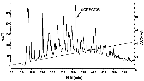 A perilla seed antioxidant heptapeptide and preparation method thereof