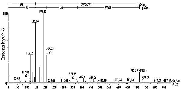 A perilla seed antioxidant heptapeptide and preparation method thereof