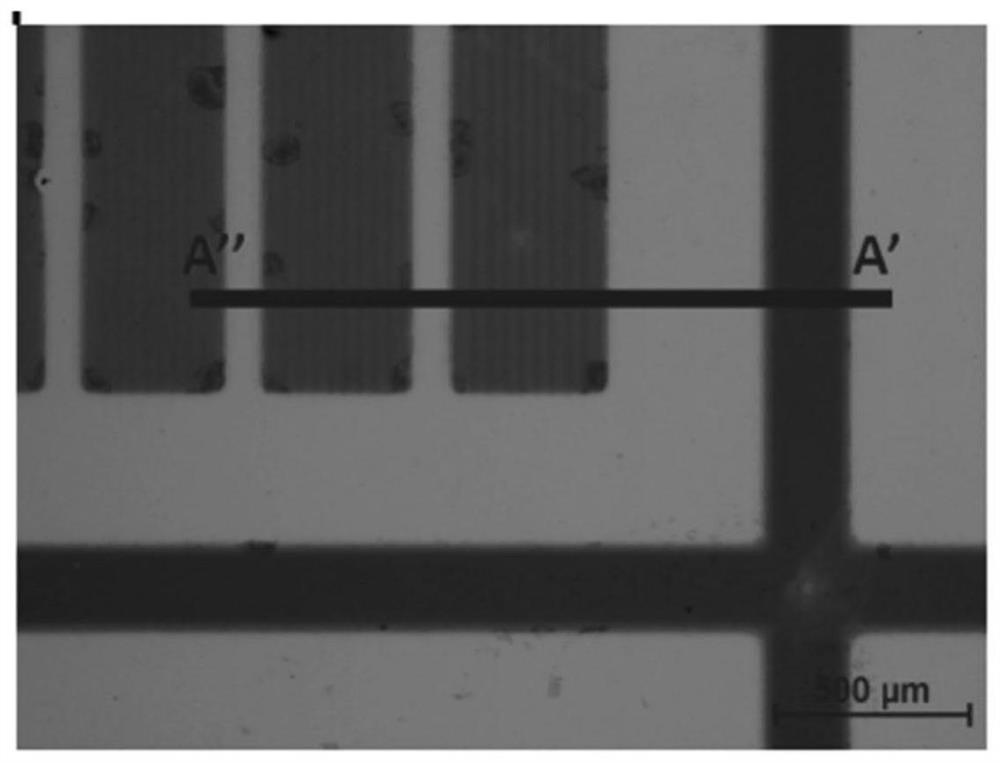 Fluorinated electroactive cross-linkable polymers comprising photoactive groups