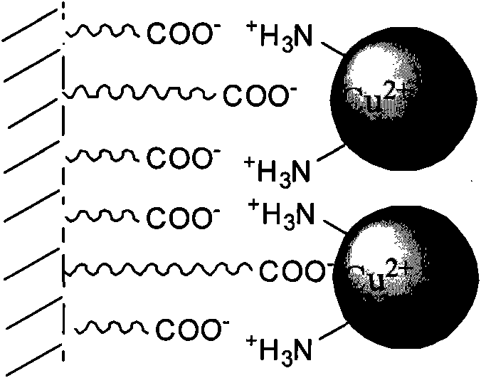 Immobilized laccase, preparation method and application thereof