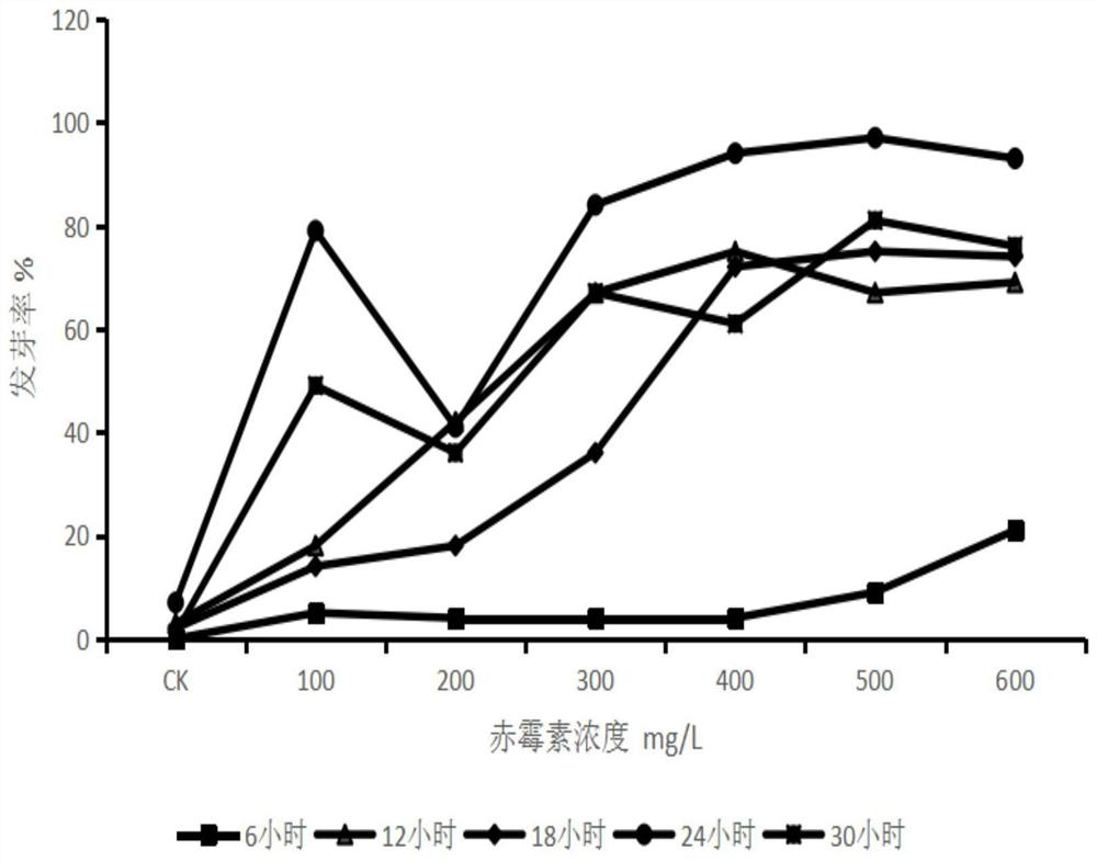 A method for promoting reed seed germination and improving salt tolerance