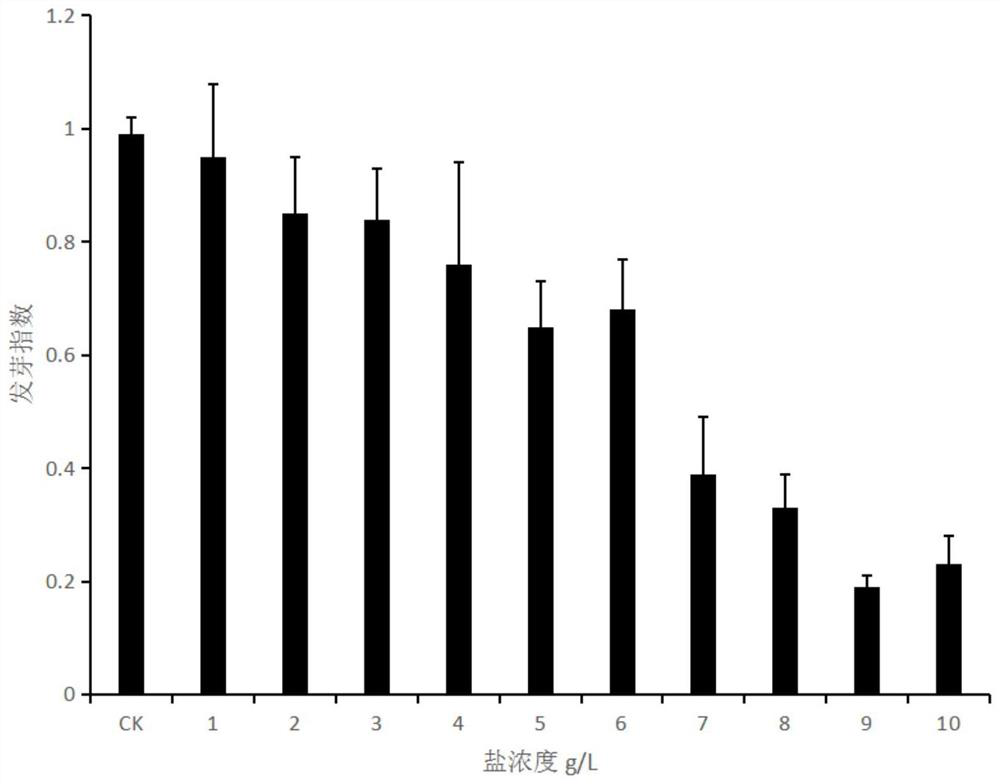 A method for promoting reed seed germination and improving salt tolerance