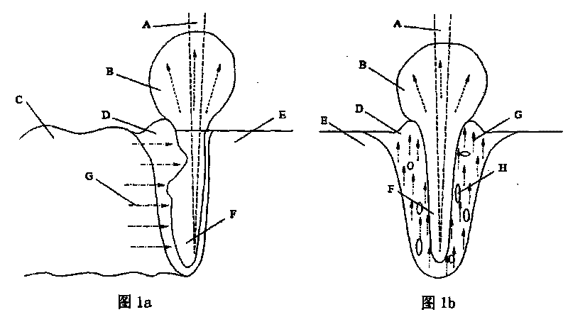 Ultrasonic auxiliary vacuum electron beam welding method of aluminum and aluminum alloy