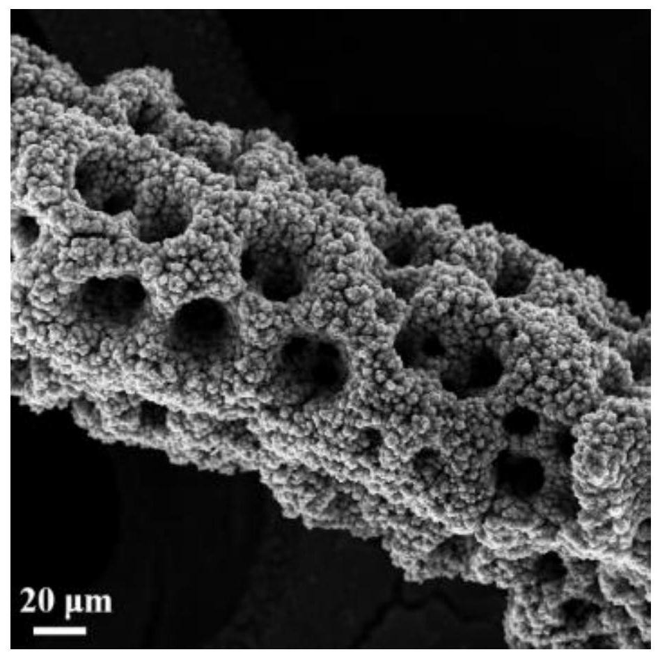 A kind of boron-doped cobalt hydroxide loaded on porous copper substrate multi-level structure material and preparation method thereof