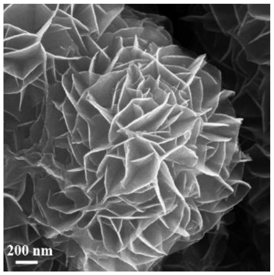 A kind of boron-doped cobalt hydroxide loaded on porous copper substrate multi-level structure material and preparation method thereof