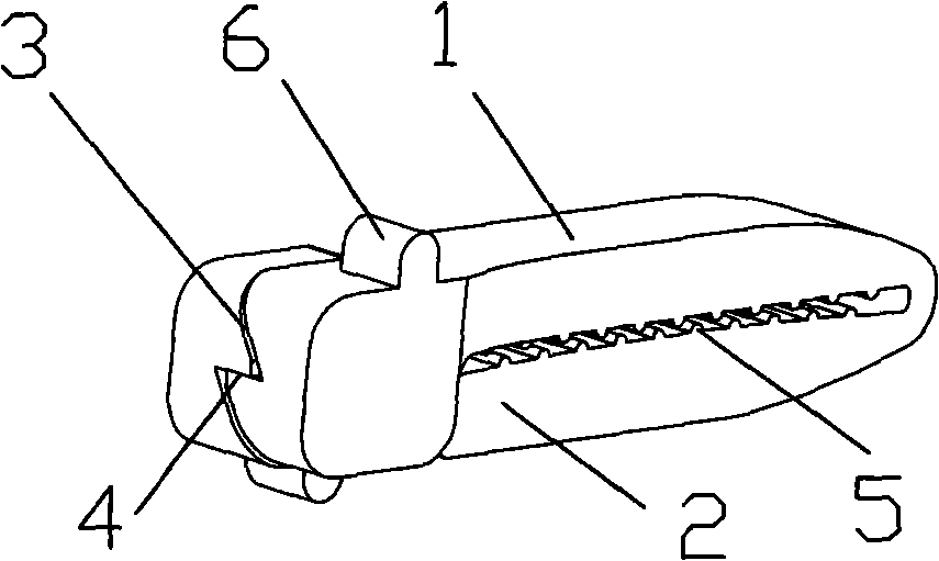 Vascellum clamp