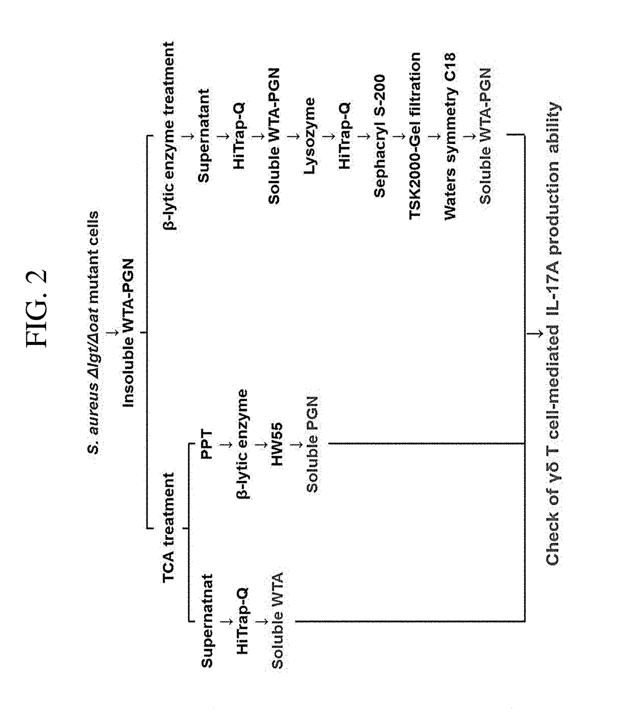 Composition for preventing or treating staphylococcus aureus infection