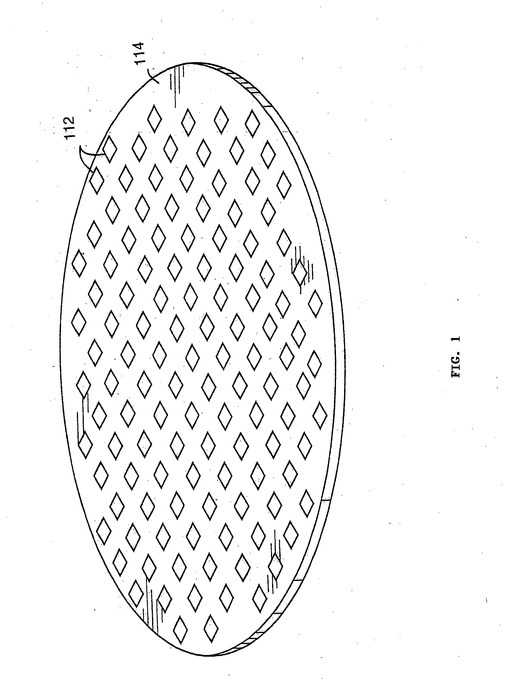 Portable microdisplay system