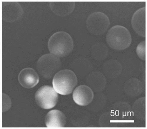 Self-repairing hydrogel microcapsule composite material and preparation method thereof, self-repairing lithium-sulfur battery cathode and battery