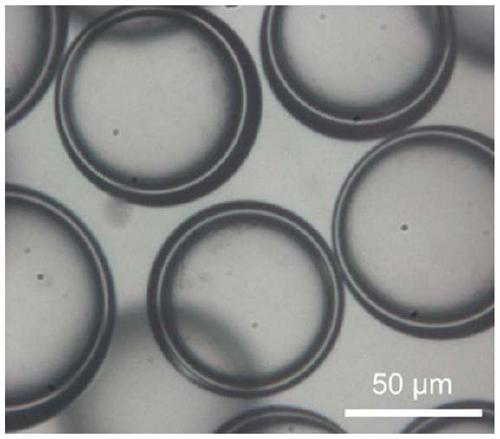 Self-repairing hydrogel microcapsule composite material and preparation method thereof, self-repairing lithium-sulfur battery cathode and battery