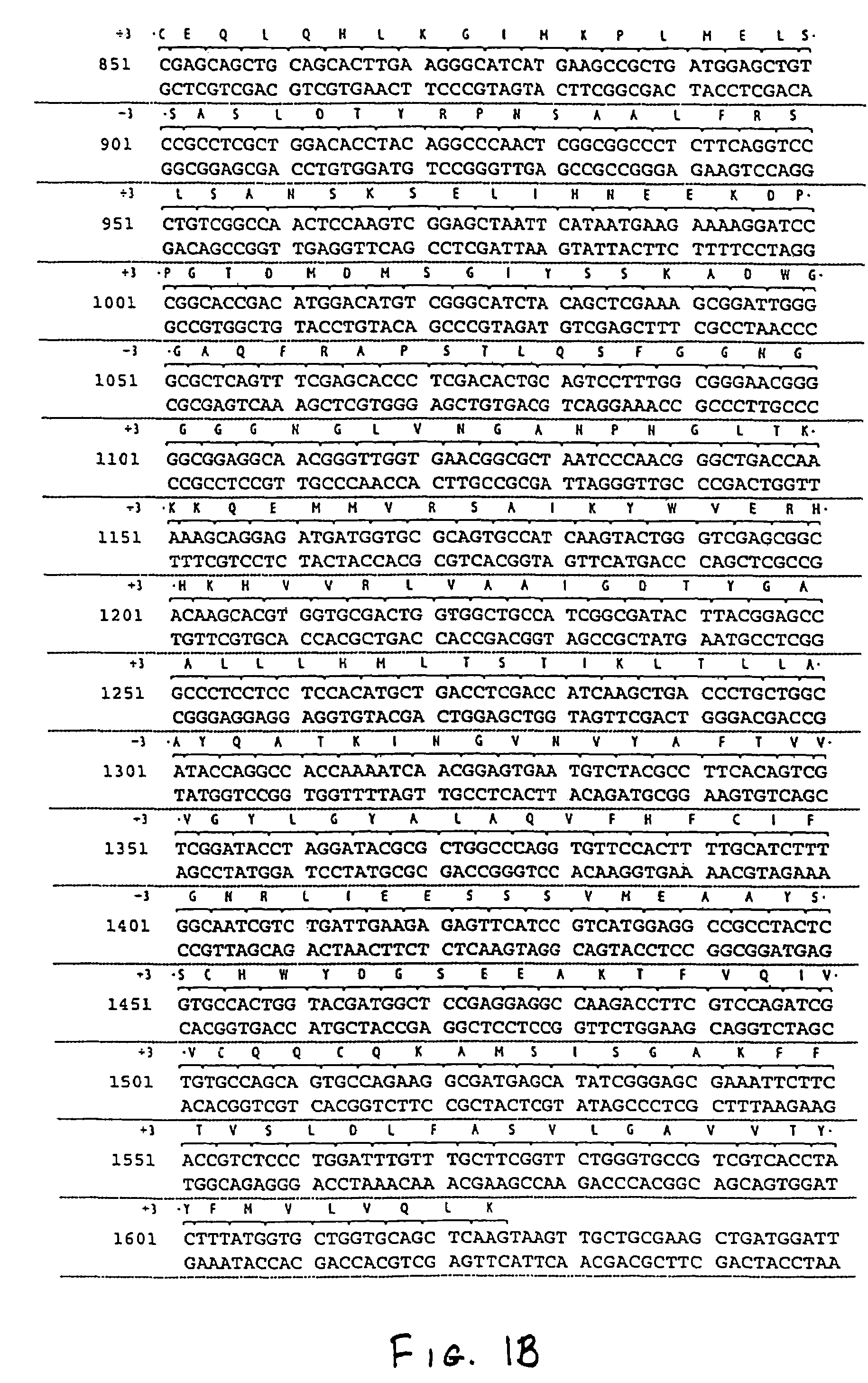 Nucleic acids and proteins of insect Or83b odorant receptor genes and uses thereof