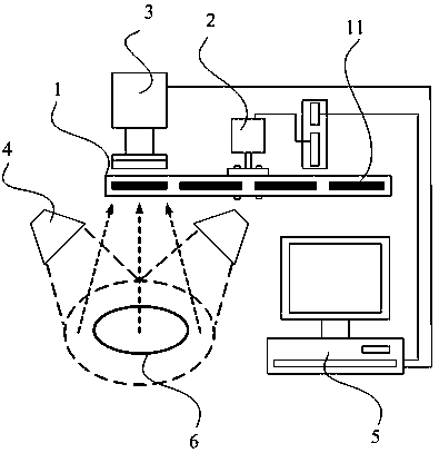 Rapid detection equipment and detection method for minced meat adulteration based on multispectral imaging