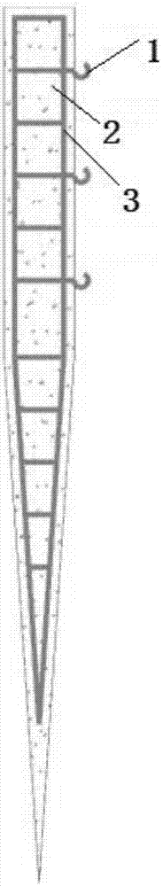 Method for constructing economic forest on slit ground terraced fields under steep slope condition in loess geomorphy loess hill landform area