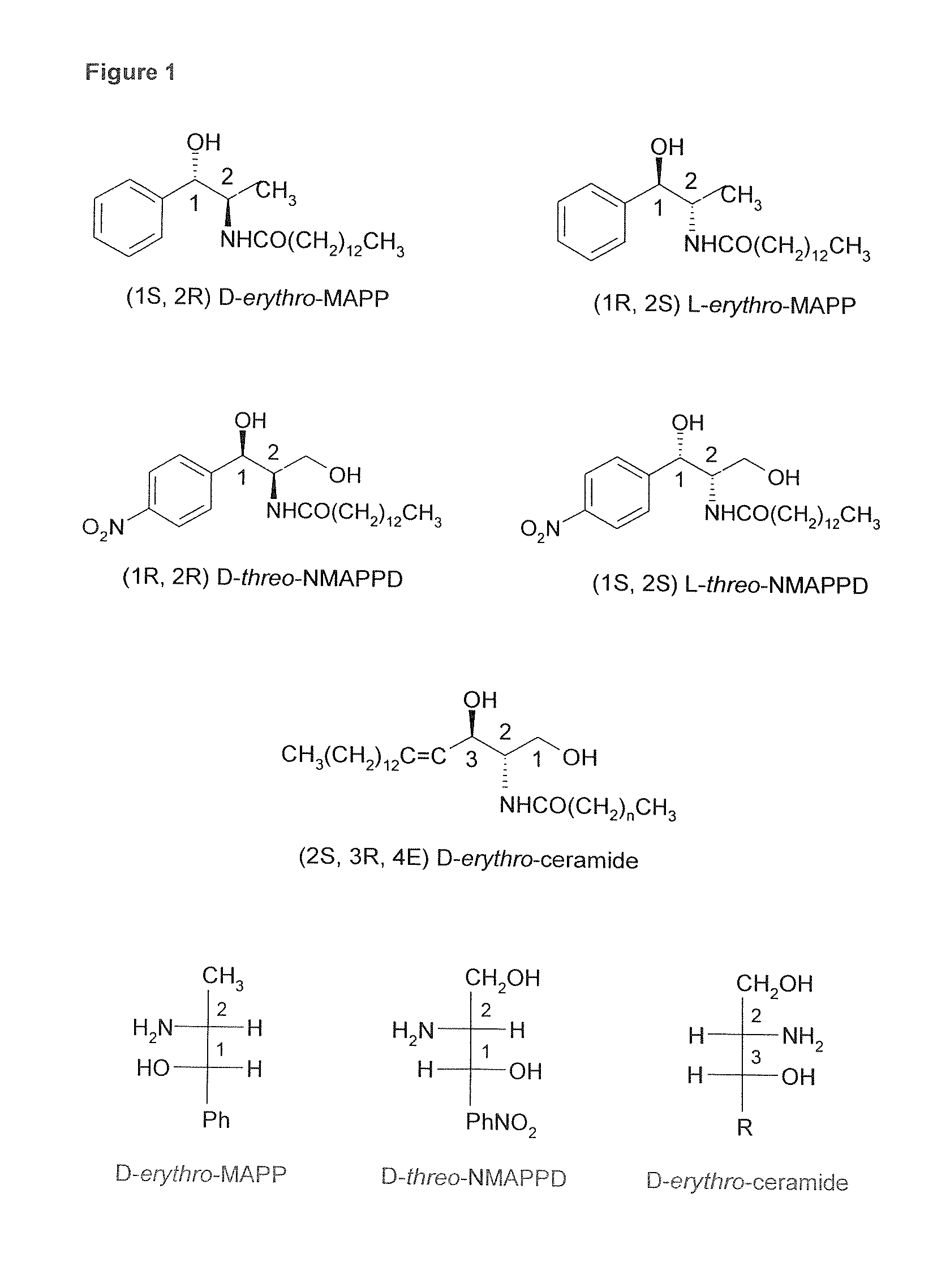 Inhibitors of anorexic lipid hydrolysis for the treatment of eating disorders