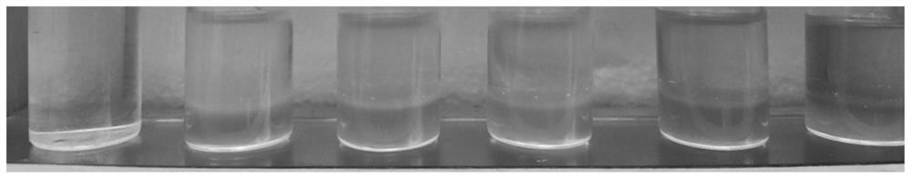 Method for detecting doping of camellia oil