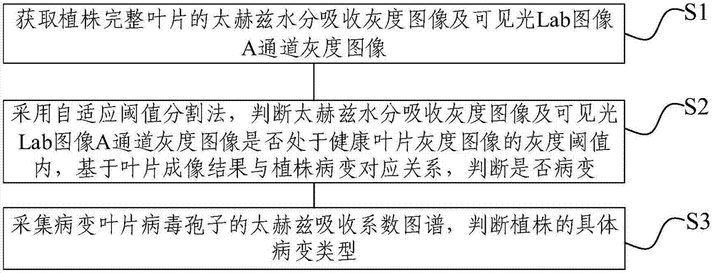 Visible-light-terahertz-light-based plant health identification method and device