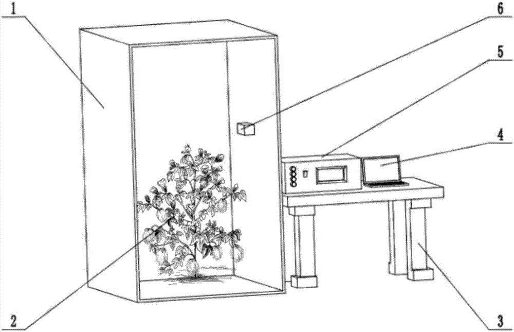 Visible-light-terahertz-light-based plant health identification method and device