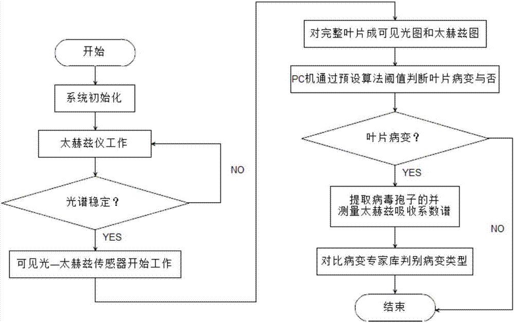 Visible-light-terahertz-light-based plant health identification method and device