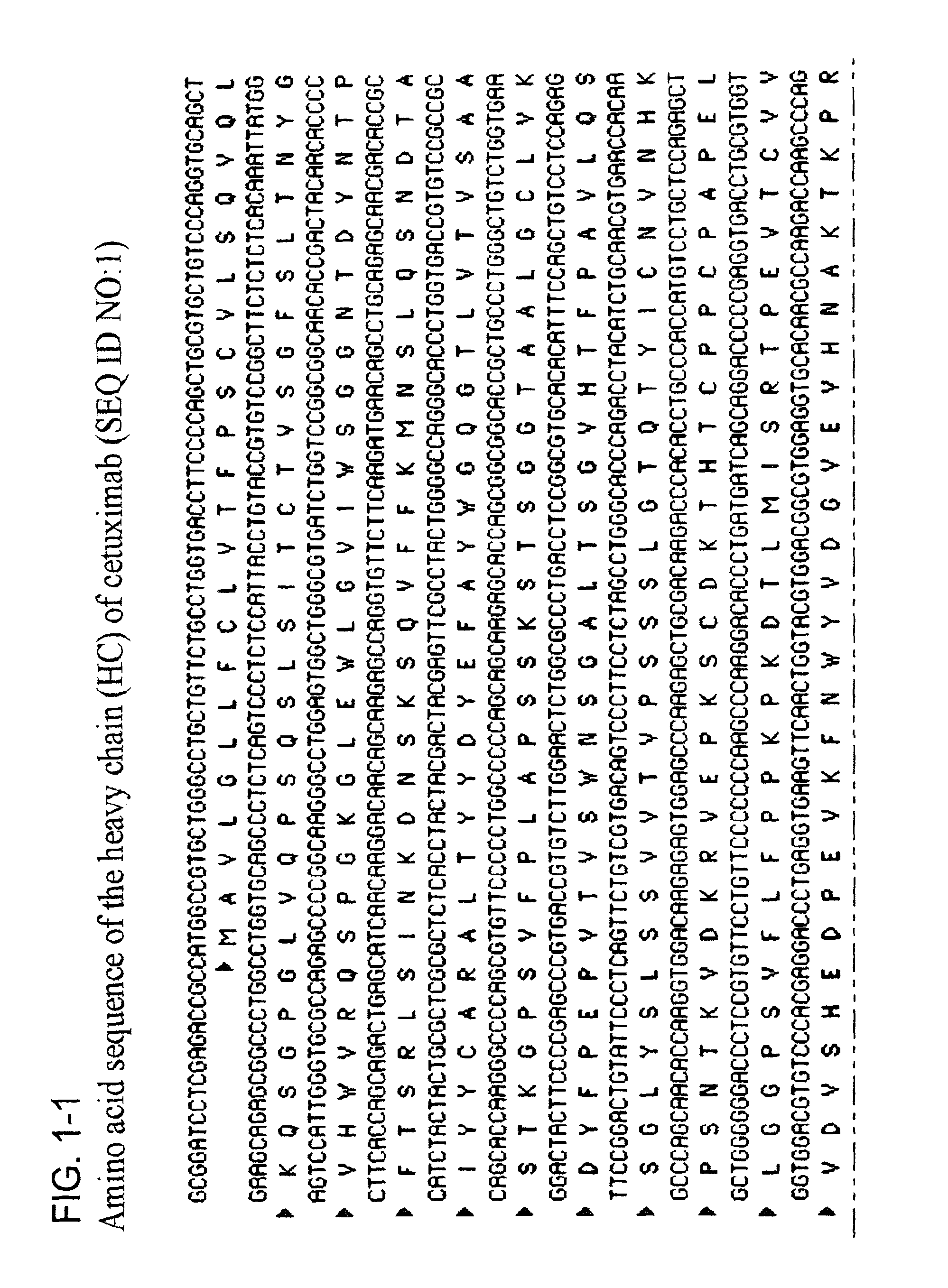 Cetuximab with modified glycosylation and uses thereof