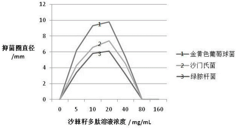 Seabuckthorn seed polypeptide with antibacterial effect and preparation method and application thereof