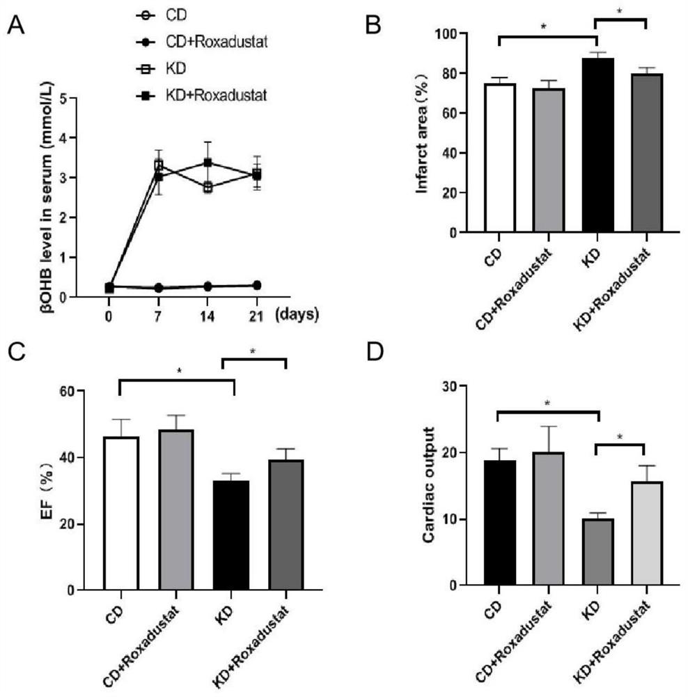 Application of HIF-1 alpha degradation inhibitor in preparation of drug for coronary heart disease with increased ketone body level