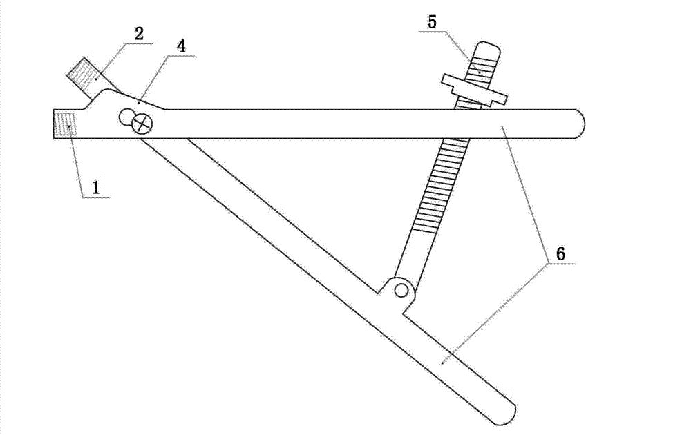 Combined bone holding forceps