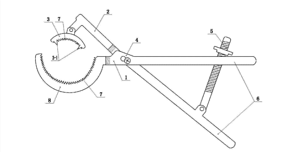 Combined bone holding forceps