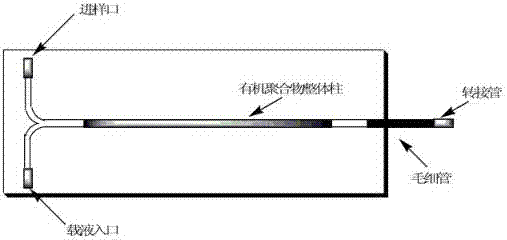 Micro-fluidic refractive index detection method used for polymerized triglyceride