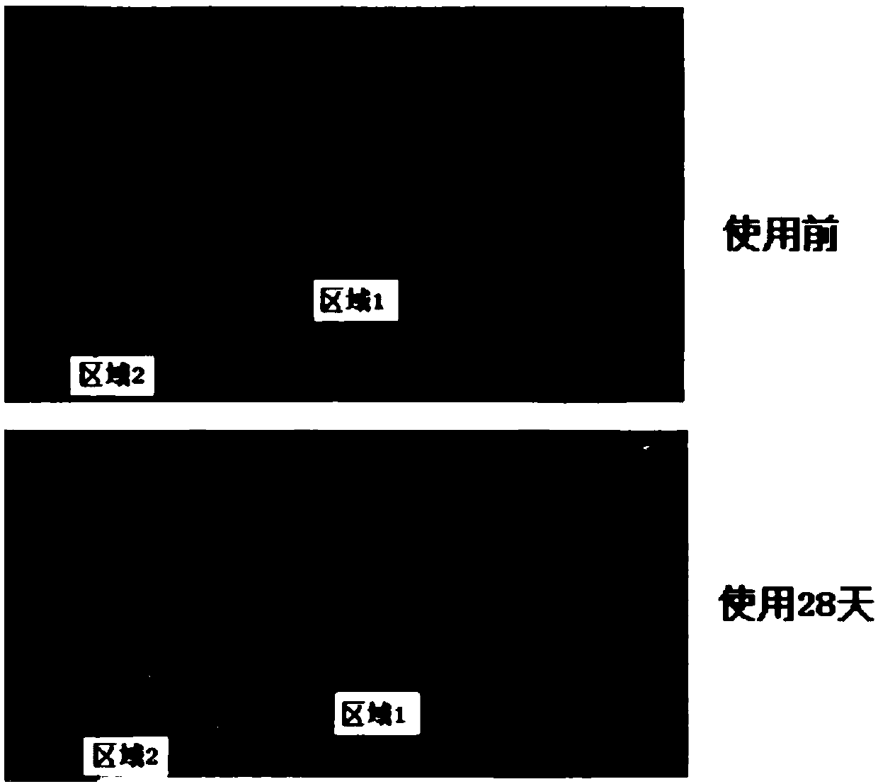 Pseudo-ginseng skincare cream and preparation method thereof