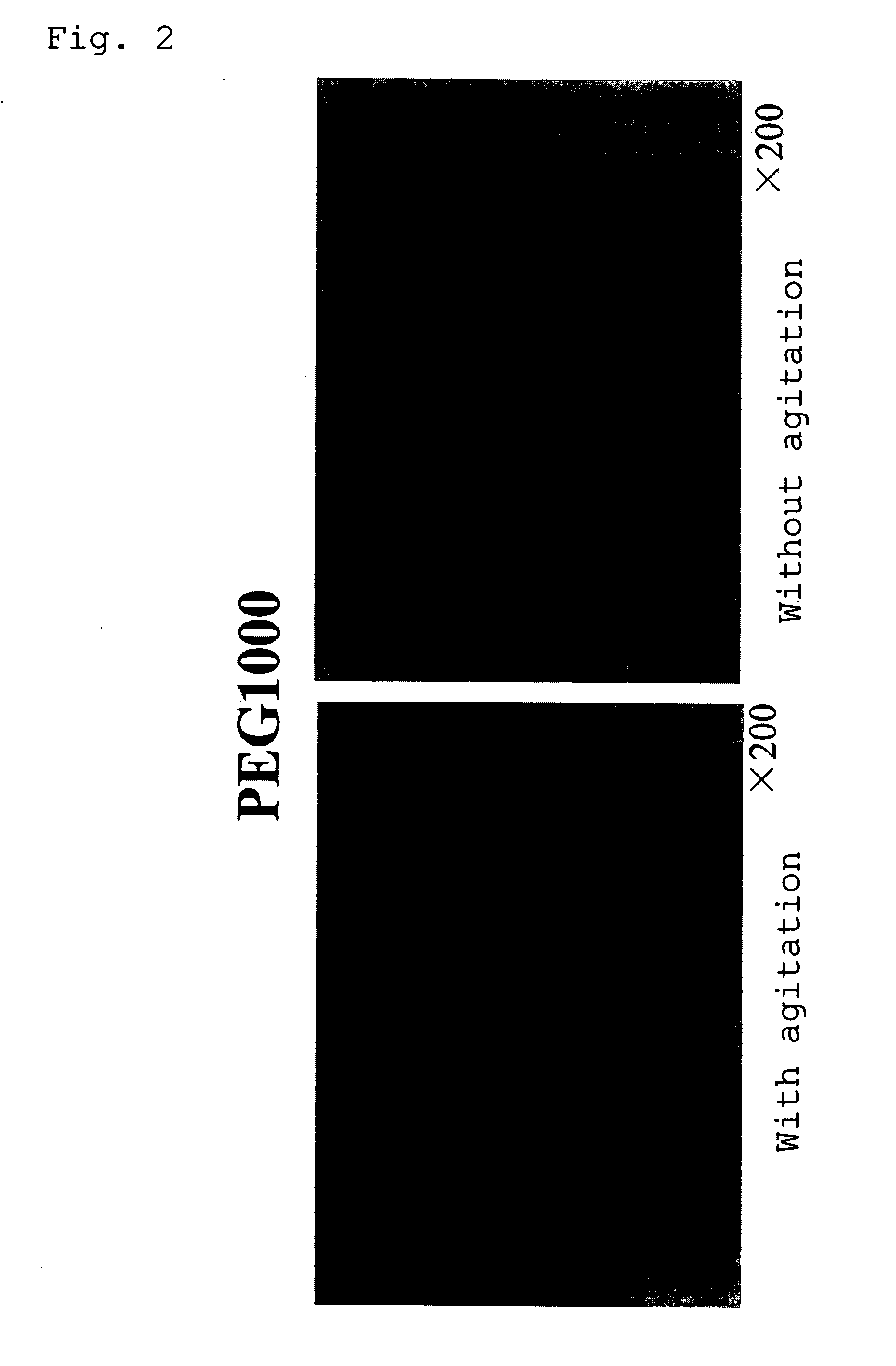 Decellularized Tissue and Method of Preparing the Same