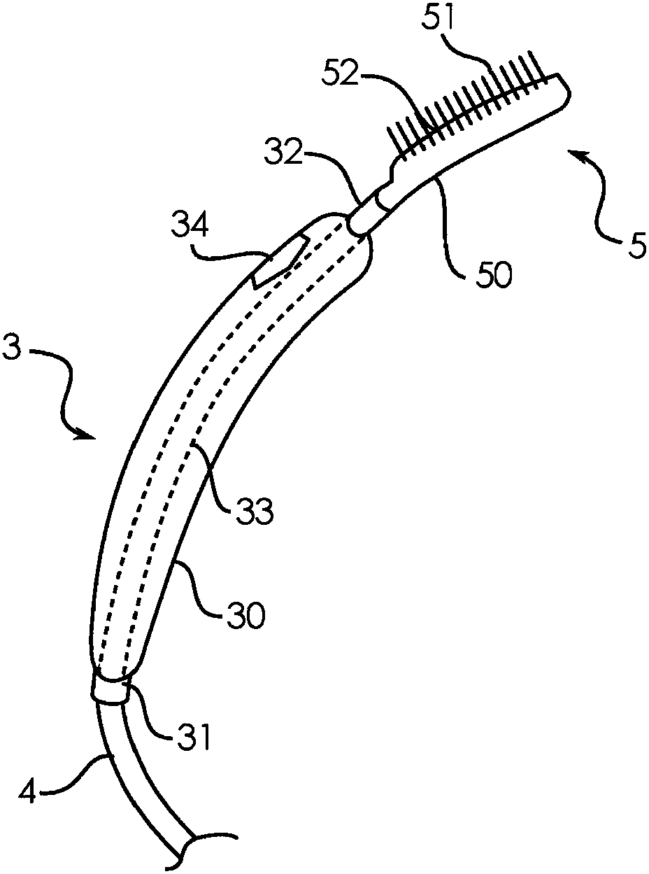 Dental cleaning device using ozone water